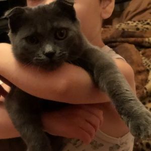 Meet your Posher, Bogdan